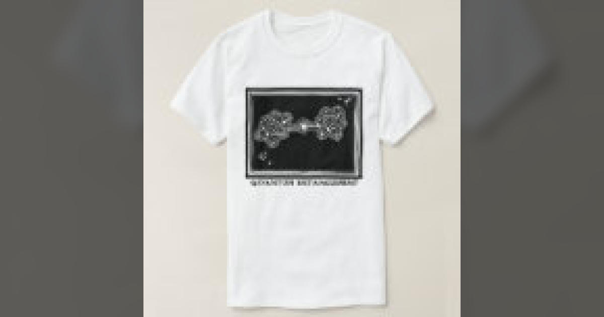 Quantum Entanglement Graphic T-Shirt | Science Geek Tees